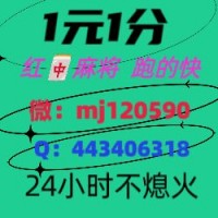 盘点十款24小时不熄火跑的快群@2024已更新哔哩微博